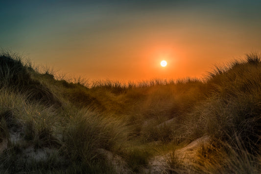 green grass field during golden hour