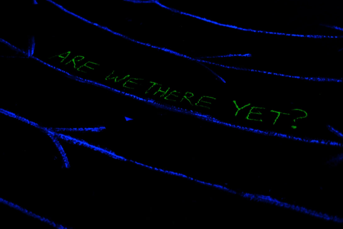 a close up of a black background with green writing
