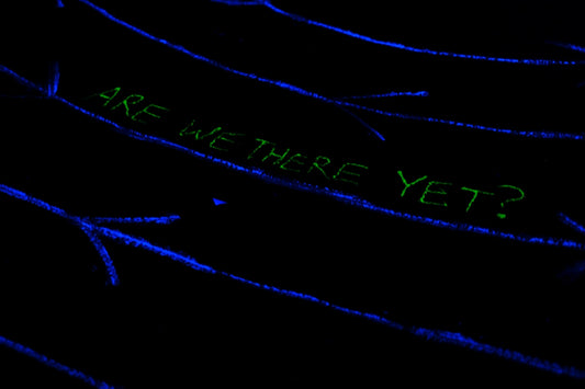 a close up of a black background with green writing