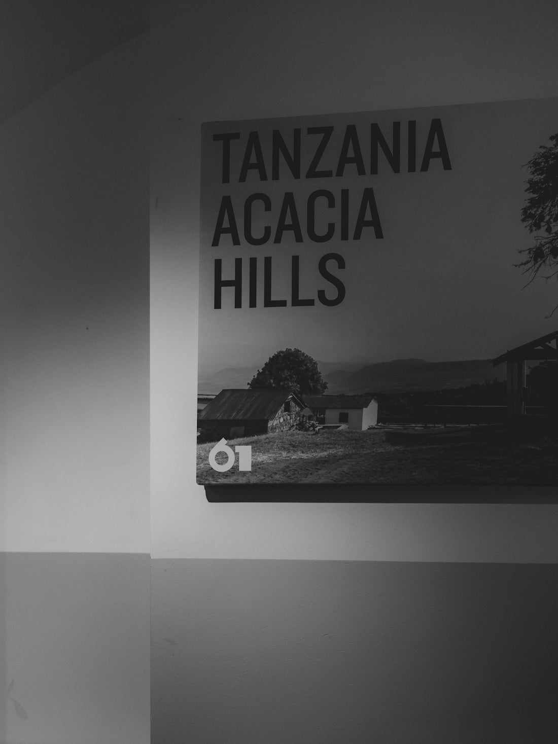 Tanzania acacia hills landscape with buildings