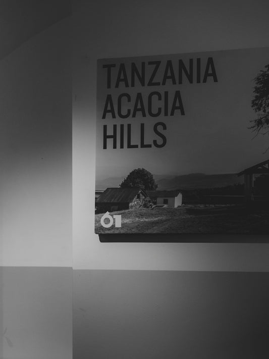 Tanzania acacia hills landscape with buildings