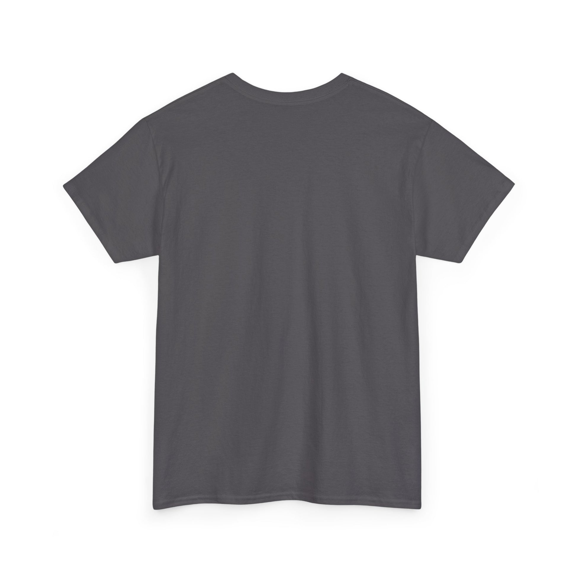 T-Shirt — Minimal Inspirational Quote Tee (“Near from the ordinary, seen shadows into fuel, and around the emboldened you.”)